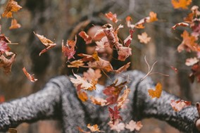 Τα Ζώδια της Τετάρτης 23.11.2022: Με καλή οργάνωση και ρεαλιστικές προσδοκίες μπορείτε να κινηθείτε παραγωγικά σήμερα 