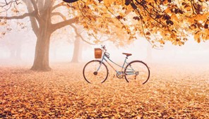 Τα Ζώδια της Τετάρτης 17.11.2021  