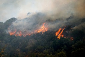 Υπό έλεγχο η πυρκαγιά στην Καρίτσα-Κάηκε δασική έκταση