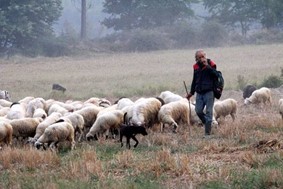 Οι κτηνοτρόφοι της Θεσσαλίας στον Υπουργό Αγροτικής Ανάπτυξης