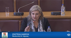 Λιακούλη: Να πάψουμε να δημιουργούμε «πολιτικούς φερετζέδες» για να κρυβόμαστε