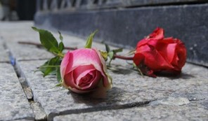 Σκοτώθηκε τριτοετής φοιτητής του πανεπιστημίου Θεσσαλίας