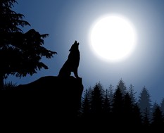 "Φεγγάρι του Λύκου": Πότε κορυφώνεται η πρώτη Πανσέληνος του 2023 