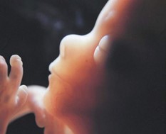 Τι δηλώνει ο ιατροδικαστής για το νεκρό έμβρυο στα σκουπίδια της Λάρισας