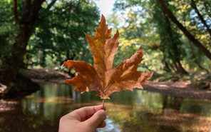 Τα Ζώδια της Τρίτης 21.11.2023: Με δεκτικότητα και προσαρμοστικότητα τα βήματά σας σήμερα 