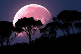 Πανσέληνος Απριλίου 2022: Ορατό από σήμερα το "ροζ φεγγάρι" - Πότε θα κορυφωθεί