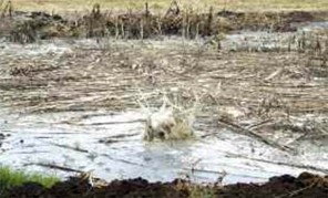 Οικολογικό έγκλημα στον Δήμο Κιλελέρ- Διοχέτευαν τα λύματα στον υδροφόρο ορίζοντα μέσω γεώτρησης!