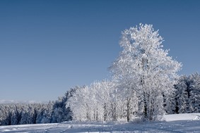 Χειμερινό ηλιοστάσιο 2022: Ξεκινάει και επίσημα σήμερα Τετάρτη ο χειμώνας