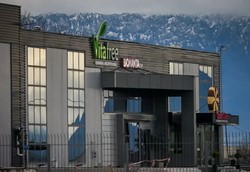 Η Βιολάντα ζητά από την πολιτεία να επισπεύσει τις αδειοδοτήσεις 