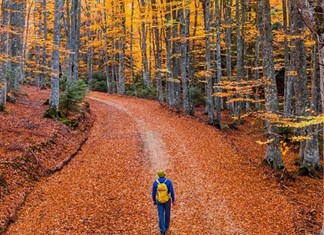 Ένα πόρταλ για τον Όλυμπο