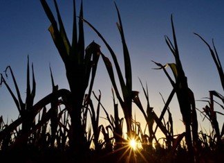 Πάρτι εικονικών τιμολογίων 14 εκ. από θεσσαλική επιχείρηση
