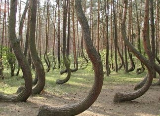 Ο Σκυλακάκης την …ίδια ώρα σε ΣΒΘΣΕ και ΣΘΕΒ