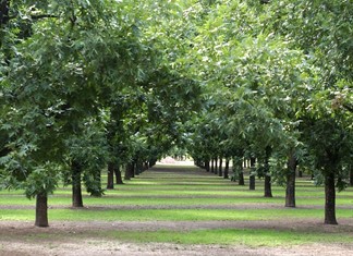 Διασύνδεση βάσεων δεδομένων ΟΠΕΚΕΠΕ και ΕΛΓΟ - ΔΗΜΗΤΡΑ