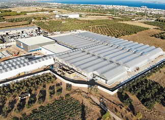 Στις 62 οι άδειες για Κάνναβη - Το πρώτο εργοστάσιο