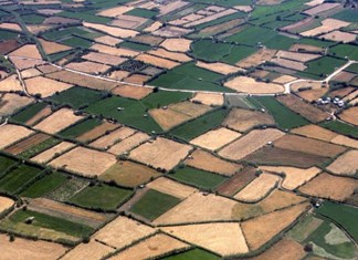 Προτάσεις για αχανή φωτοβολταϊκά στη γόνιμη θεσσαλική γη 