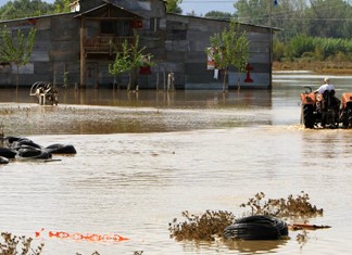 Καρδίτσα: Χάθηκαν 13.000 ζώα και 28.000 κυψέλες