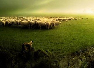 Πιο κοντά προβατοτρόφοι και γαλακτοβιομήχανοι μετά από πρωτοβουλία του Μ. Σαράντη  