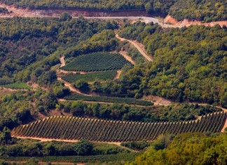 Κτήμα Κατσαρού: Το χαλάζι μείωσε κατά 25% την παραγωγή