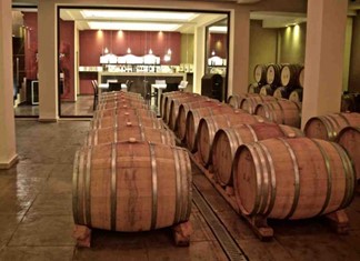 Τύρναβος: Επενδύσεις 2,3 εκ. από το Κτήμα Μίγας