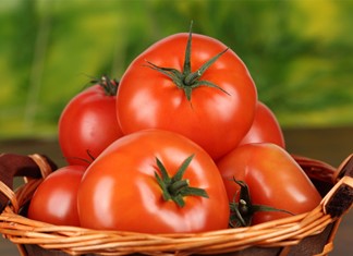 Στα 25 εκ. ευρώ ο τζίρος της Καρδιτσιώτικης Damavand 