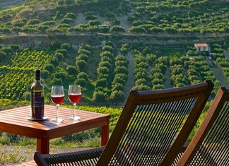 Προοπτικές οινοτουρισμού στην ύπαιθρο του νομού Λάρισας