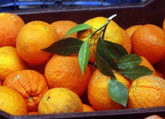 Εκρηξη εξαγωγών ελληνικών φρούτων και λαχανικών