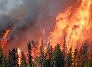 Οι ξένοι οίκοι προειδοποιούν ότι οι φωτιές βλάπτουν την πιστοληπτική ικανότητα