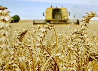 Δημητριακή: Τζίρος 265 εκ. ευρώ – απέκτησε ακίνητο της ΕΑΣ Λάρισας