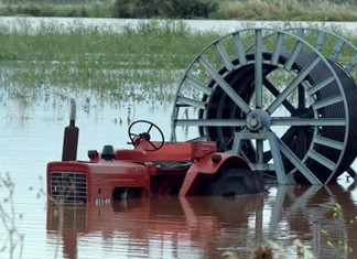 Μεγάλη η ζημιά από τον "Ιανό" στο θεσσαλικό βαμβάκι