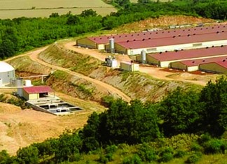 Χοιροτροφική μονάδα στην Ήπειρο εξαγόρασε η Φλωρίδης ΑΕΒΕΚ