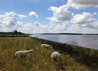 Φάρσαλα: Γαλλικό φωτοβολταϊκό με βοσκή προβάτων