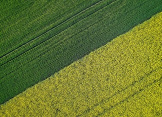 Έκτακτο χρήμα σε συνεταιρισμούς της Θεσσαλίας