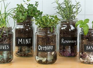 Μια καλή χρονιά για τις επιχειρήσεις αρωματικών φυτών στη Θεσσαλία