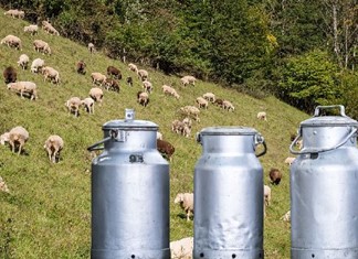 Γιατί "καλπάζει" το γάλα - Τι λένε οι εταιρείες