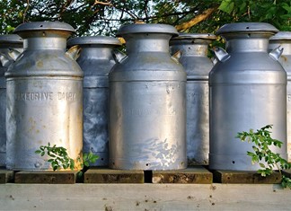 Στα ύψη οι τιμές του αιγοπρόβειου γάλακτος στη Θεσσαλία