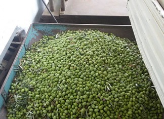 Στην Intercomm Foods το ελαιουργείο της πρώην ΕΑΣ Λάρισας