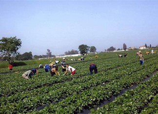 Λάρισα: Ποινή 400.000 ευρώ για αδήλωτους εργάτες