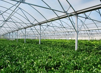 Τέσσερις νέες αγροτικές επενδύσεις σε Αγιά και Τέμπη