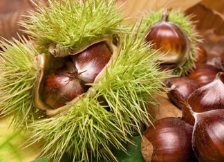 Ιδιόκτητα ψυγεία για τους παραγωγούς της «Καρποί Κισσάβου»