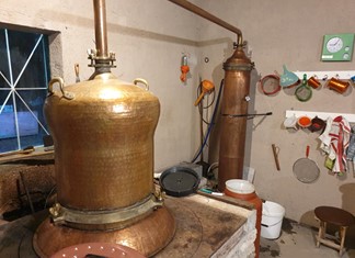 Άδεια απόσταξης σε 250 αμβυκούχους στον Τύρναβο