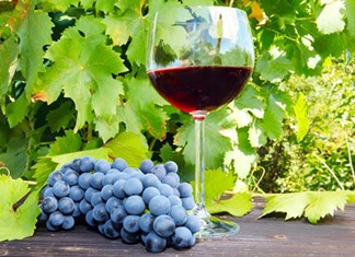 Οι New York Times προτείνουν δύο θεσσαλικά κρασιά