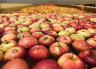 Ένα μήλο την ημέρα