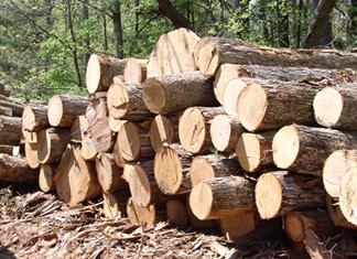 Στο σφυρί η «Αγγελούσης Α.Ε.» στην Μαγνησία