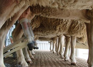 Οι κτηνοτρόφοι συναντούνται σήμερα στη Λάρισα