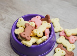 Δυστύχημα σε επιχείρηση σκυλοτροφών στη ΒΙΠΕ Λάρισας