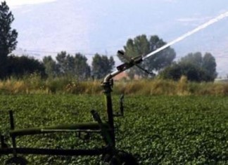 Ποσό 2 εκ. ευρώ χρωστάει στη ΔΕΗ ο ΤΟΕΒ Μάτι Τυρνάβου