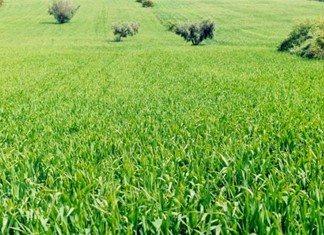 Εκπρόσωποι συνεταιριστικών επιχειρήσεων συναντώνται στα Φάρσαλα