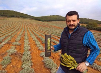 Με το όνομα «Philosophia» εξάγει τσάι από το Βελεστίνο στο Λονδίνο