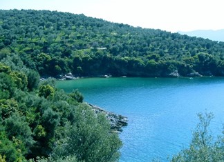 Αλατάς: Προχωράμε με ήπια ανάπτυξη δηλώνουν οι επενδυτές