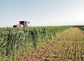 Συμβολαιακή γεωργία από την Παγκρήτια Συνεταιριστική